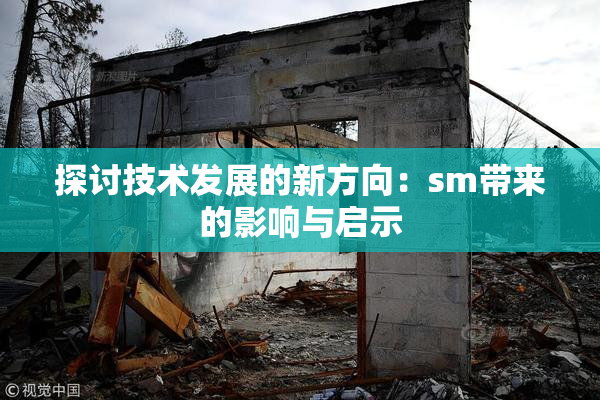 探讨技术发展的新方向：sm带来的影响与启示