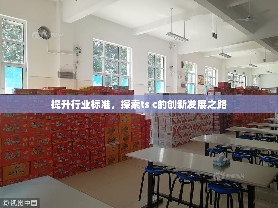 提升行业标准，探索ts c的创新发展之路