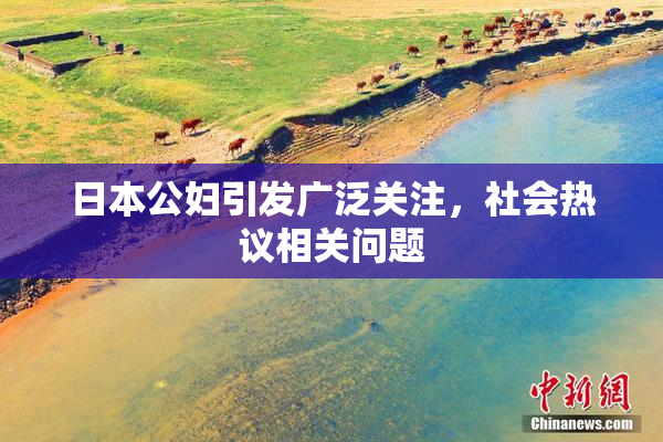 日本公妇引发广泛关注，社会热议相关问题