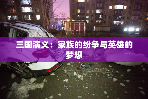 三国演义：家族的纷争与英雄的梦想