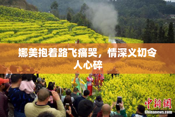 娜美抱着路飞痛哭，情深义切令人心碎
