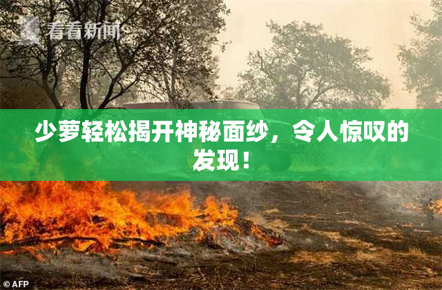 少萝轻松揭开神秘面纱，令人惊叹的发现！