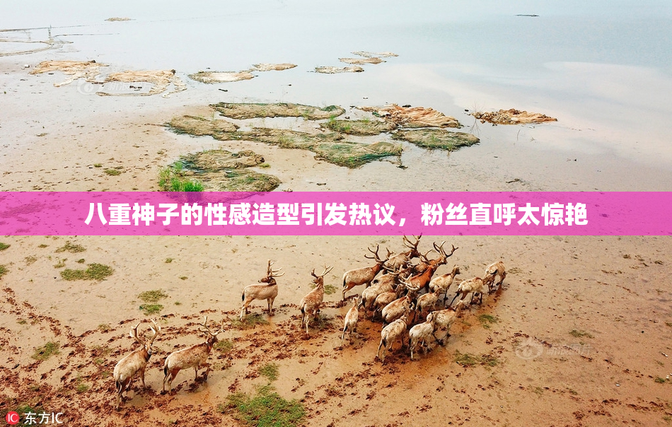 八重神子的性感造型引发热议，粉丝直呼太惊艳
