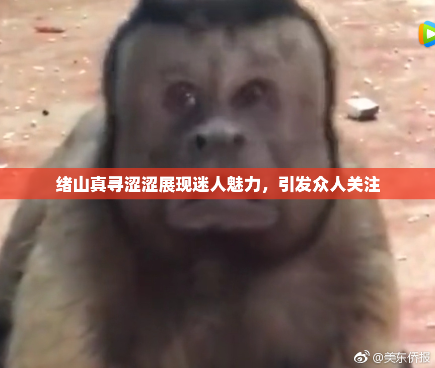 绪山真寻涩涩展现迷人魅力，引发众人关注