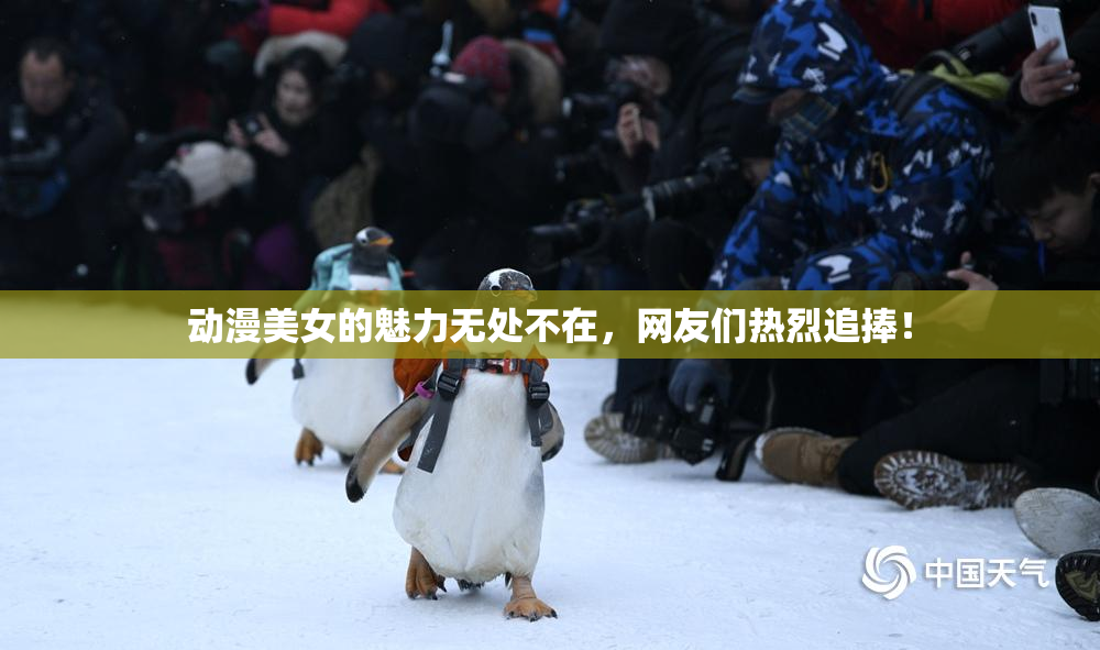 动漫美女的魅力无处不在，网友们热烈追捧！