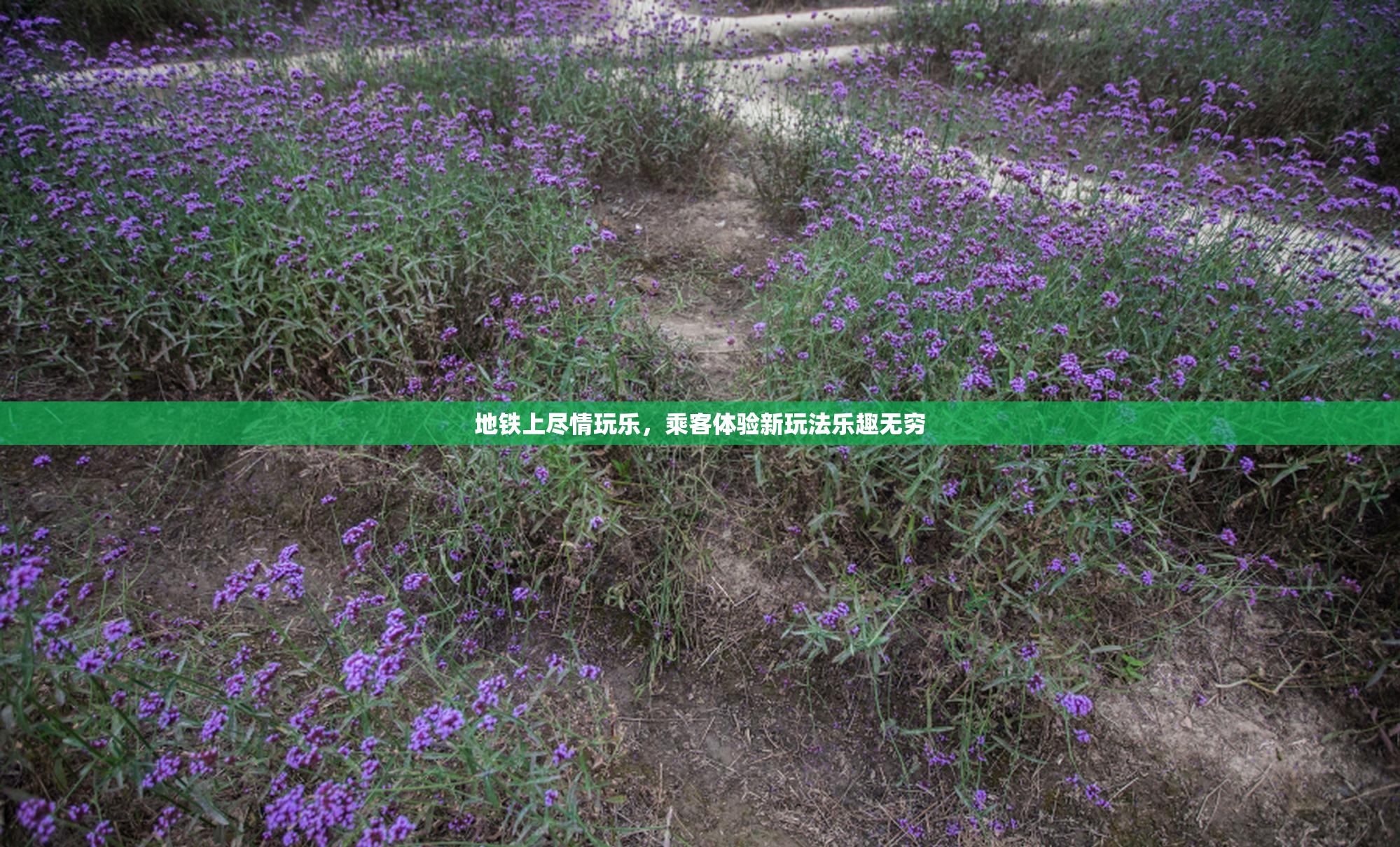 地铁上尽情玩乐，乘客体验新玩法乐趣无穷