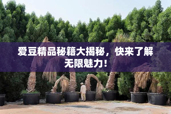 爱豆精品秘籍大揭秘，快来了解无限魅力！