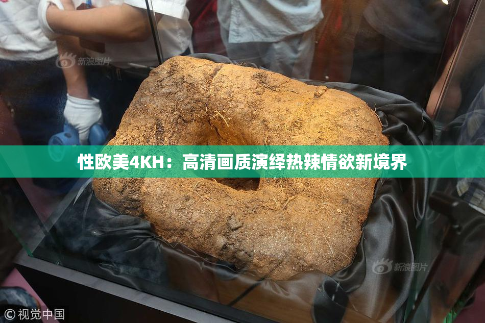 性欧美4KH：高清画质演绎热辣情欲新境界