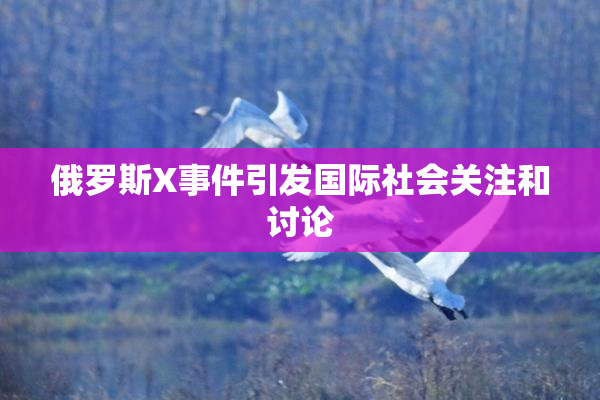 俄罗斯X事件引发国际社会关注和讨论