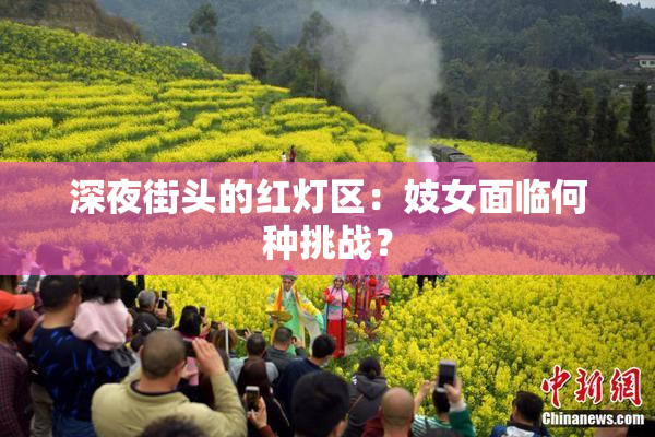 深夜街头的红灯区：妓女面临何种挑战？