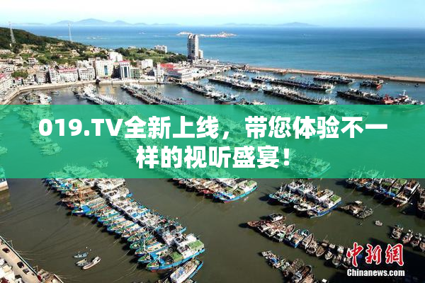 019.TV全新上线，带您体验不一样的视听盛宴！