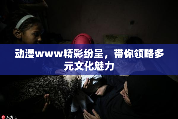 动漫www精彩纷呈，带你领略多元文化魅力