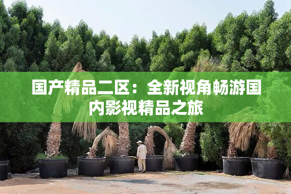 国产精品二区：全新视角畅游国内影视精品之旅