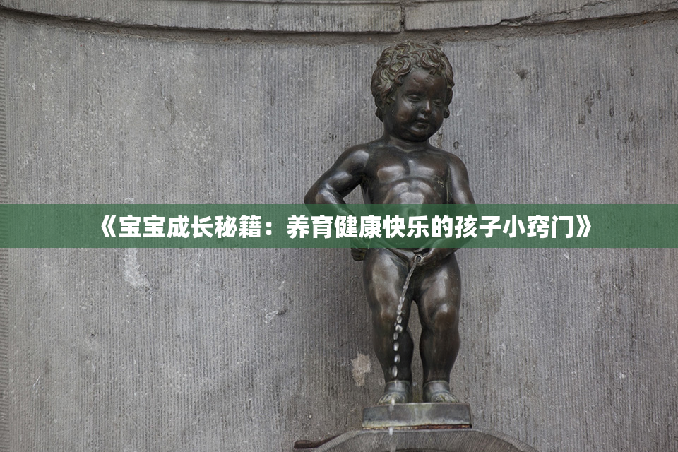 《宝宝成长秘籍：养育健康快乐的孩子小窍门》