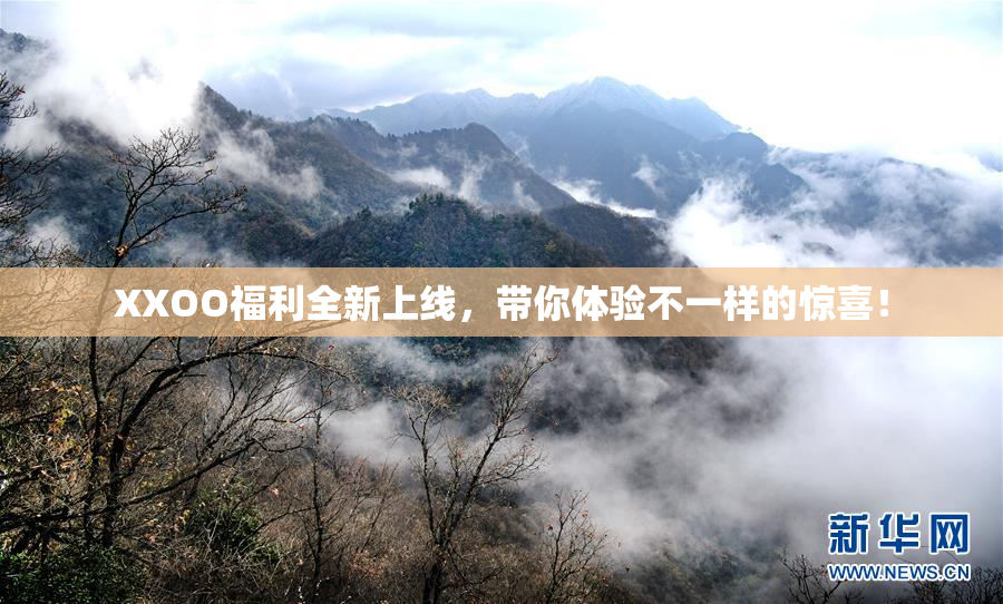 XXOO福利全新上线，带你体验不一样的惊喜！
