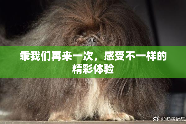 乖我们再来一次，感受不一样的精彩体验
