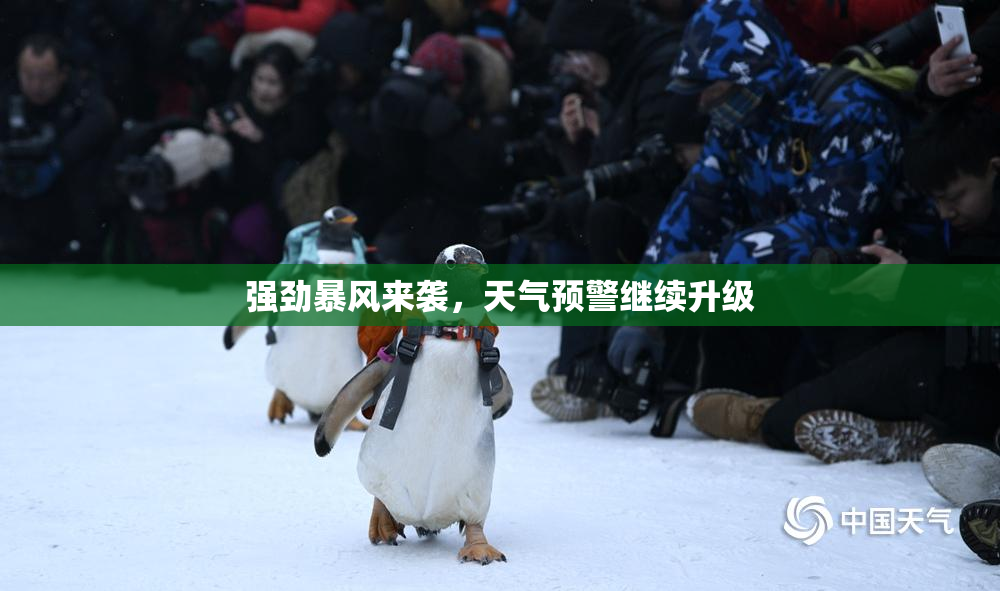 强劲暴风来袭，天气预警继续升级