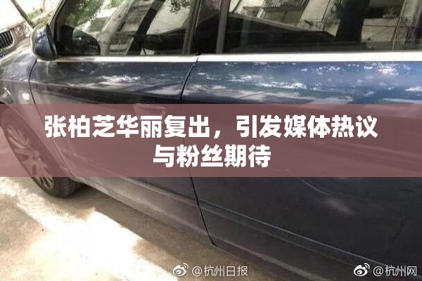 张柏芝华丽复出，引发媒体热议与粉丝期待