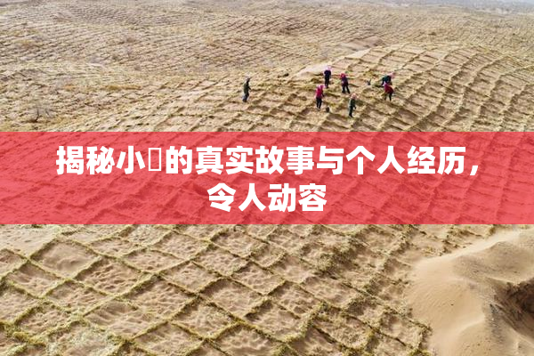 揭秘小泬的真实故事与个人经历，令人动容