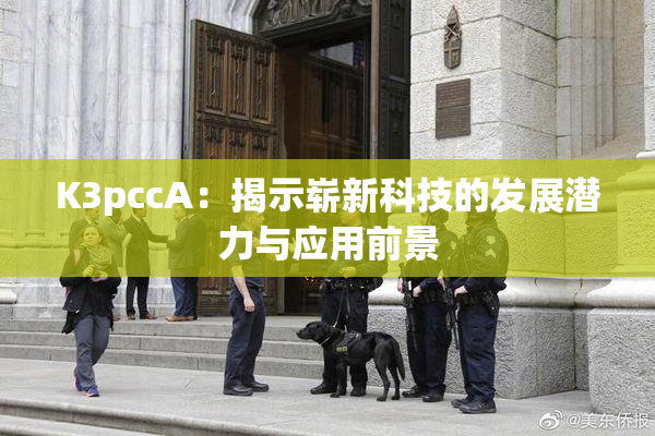 K3pccA：揭示崭新科技的发展潜力与应用前景