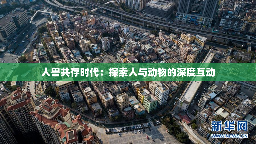 人兽共存时代：探索人与动物的深度互动