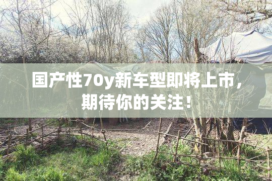 国产性70y新车型即将上市，期待你的关注！
