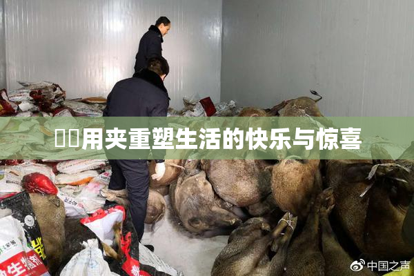 妺妺用夹重塑生活的快乐与惊喜