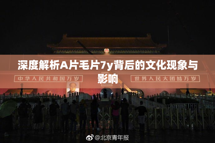 深度解析A片毛片7y背后的文化现象与影响