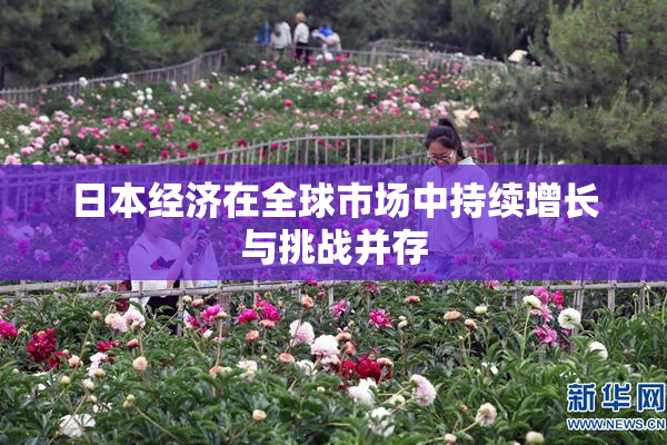 日本经济在全球市场中持续增长与挑战并存