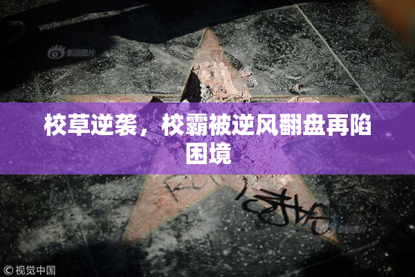 校草逆袭，校霸被逆风翻盘再陷困境