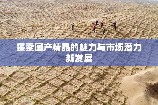 探索国产精品的魅力与市场潜力新发展