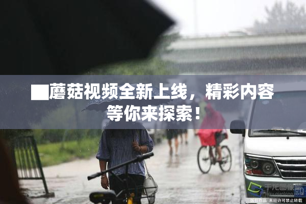 ▇蘑菇视频全新上线，精彩内容等你来探索！