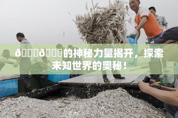 🐔🐔的神秘力量揭开，探索未知世界的奥秘！