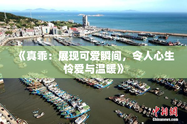 《真乖：展现可爱瞬间，令人心生怜爱与温暖》