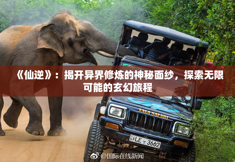 《仙逆》：揭开异界修炼的神秘面纱，探索无限可能的玄幻旅程