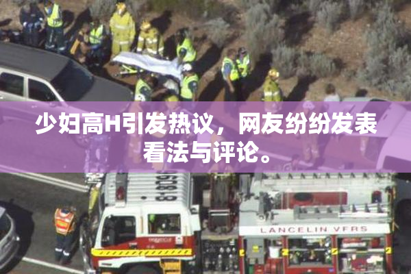少妇高H引发热议，网友纷纷发表看法与评论。