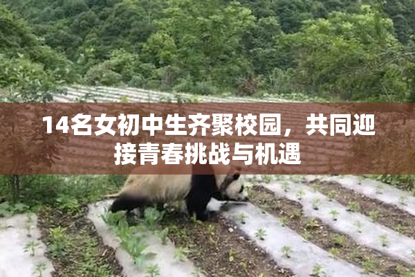 14名女初中生齐聚校园，共同迎接青春挑战与机遇