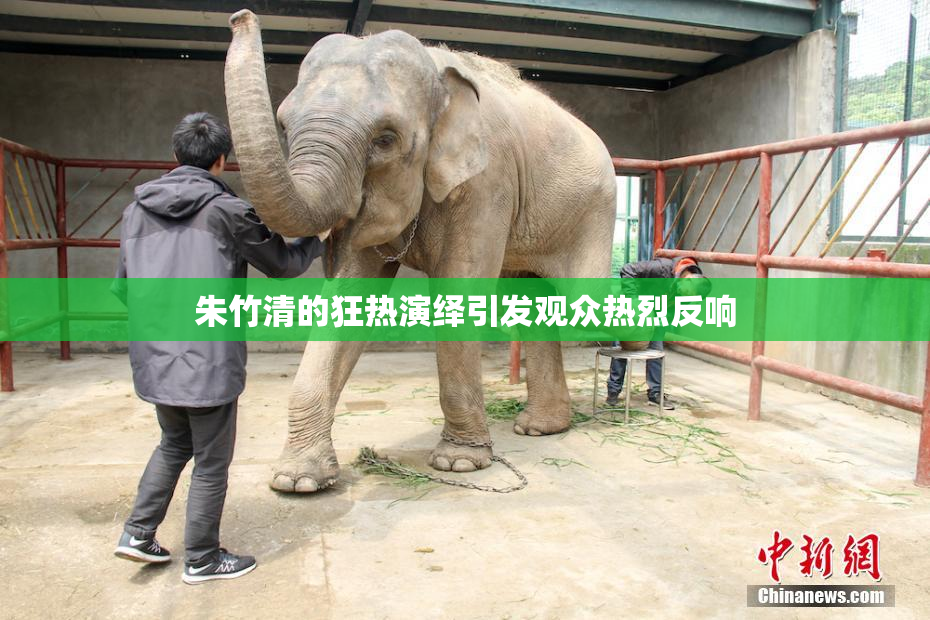 朱竹清的狂热演绎引发观众热烈反响