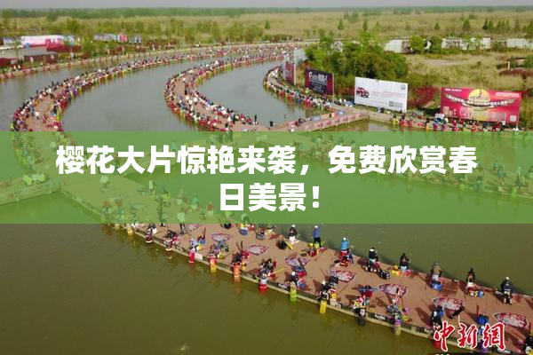 樱花大片惊艳来袭，免费欣赏春日美景！