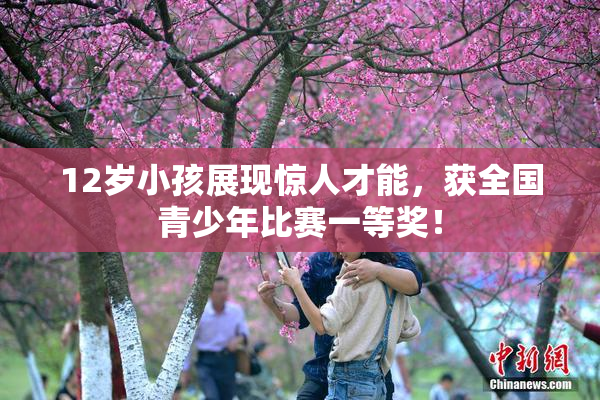 12岁小孩展现惊人才能，获全国青少年比赛一等奖！