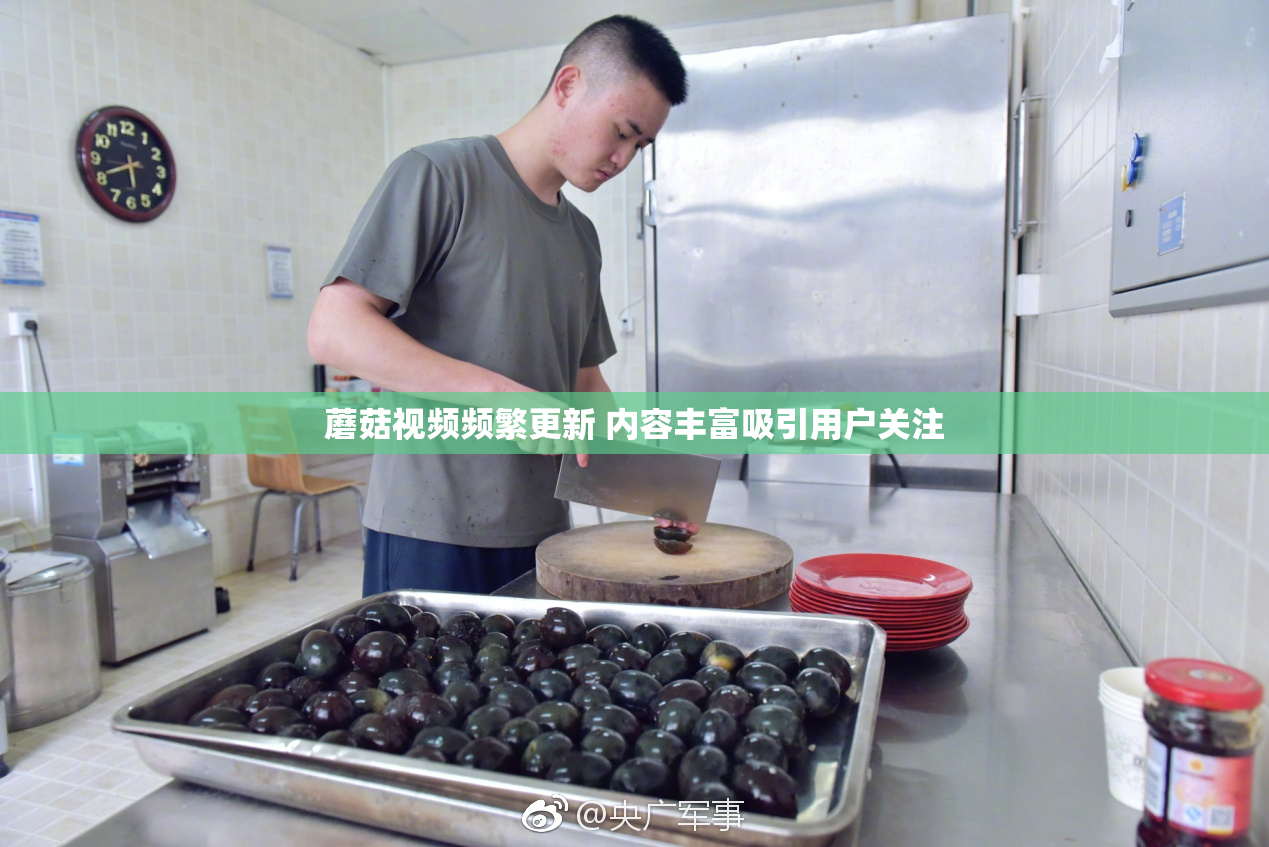 蘑菇视频频繁更新 内容丰富吸引用户关注