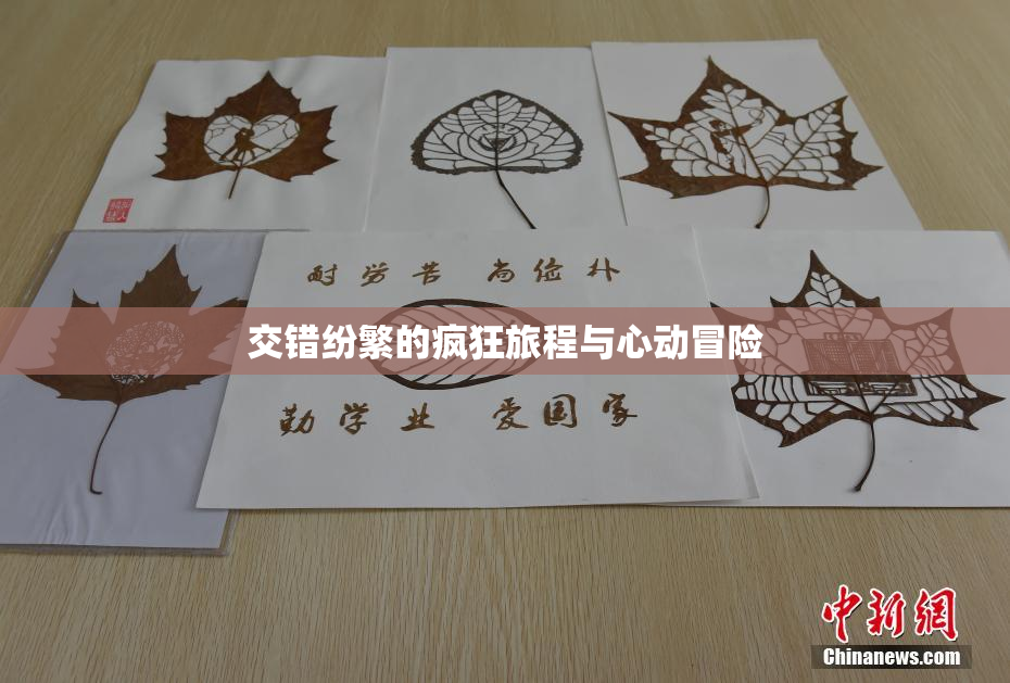 交错纷繁的疯狂旅程与心动冒险
