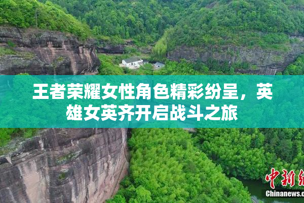 王者荣耀女性角色精彩纷呈，英雄女英齐开启战斗之旅