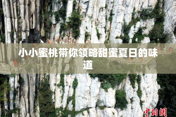 小小蜜桃带你领略甜蜜夏日的味道