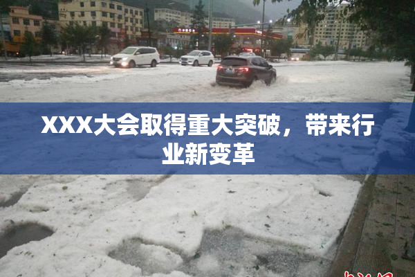 XXX大会取得重大突破，带来行业新变革