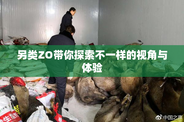 另类ZO带你探索不一样的视角与体验