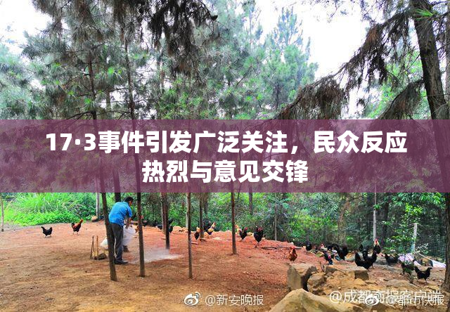 17·3事件引发广泛关注，民众反应热烈与意见交锋