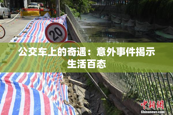 公交车上的奇遇：意外事件揭示生活百态
