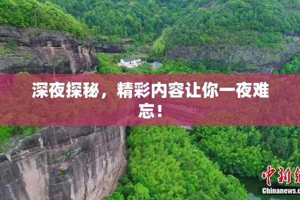 深夜探秘，精彩内容让你一夜难忘！