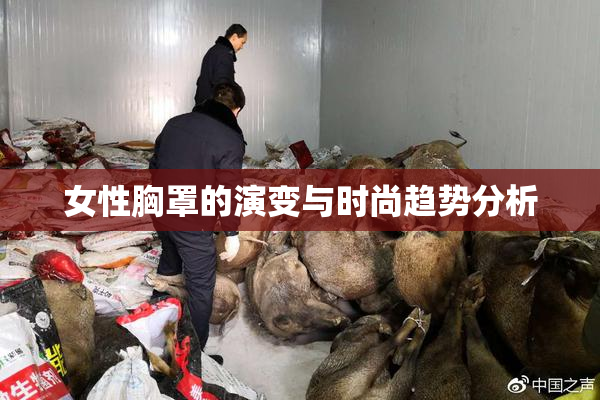 女性胸罩的演变与时尚趋势分析
